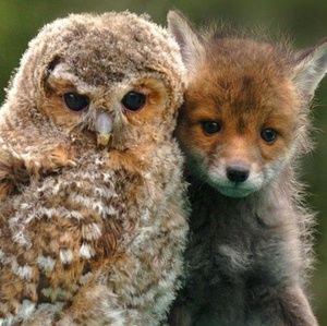 Bundles! Bundle like items for even more of a deal